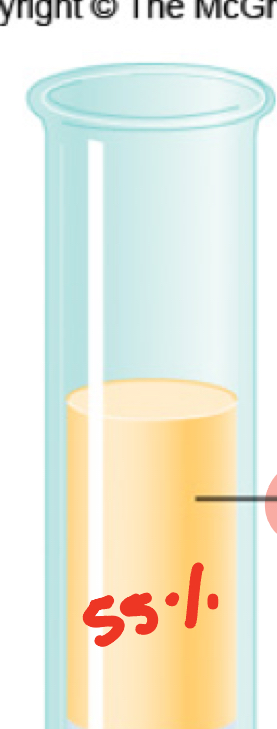 <ul><li><p>55% in our body, 92% water in 55%</p></li><li><p>Contains proteins</p></li><li><p>Helps with pH levels (7.35-7.45)</p></li><li><p>Transports rbc, wbc, platelets, hormones, enzymes, nutrients, gasses like O2, Co2, N2</p></li></ul>