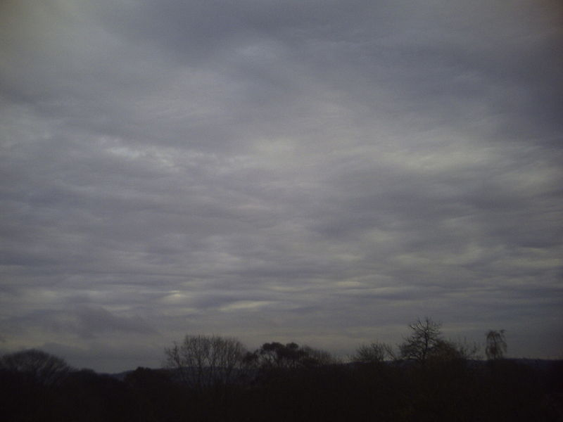 <p>like cirrocumulus, but thicker</p>