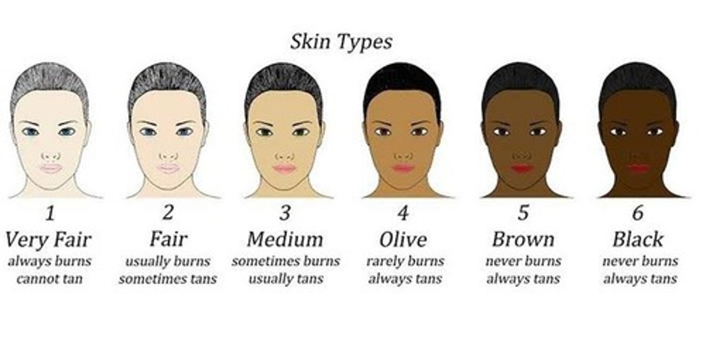 <p>skin complexion</p>