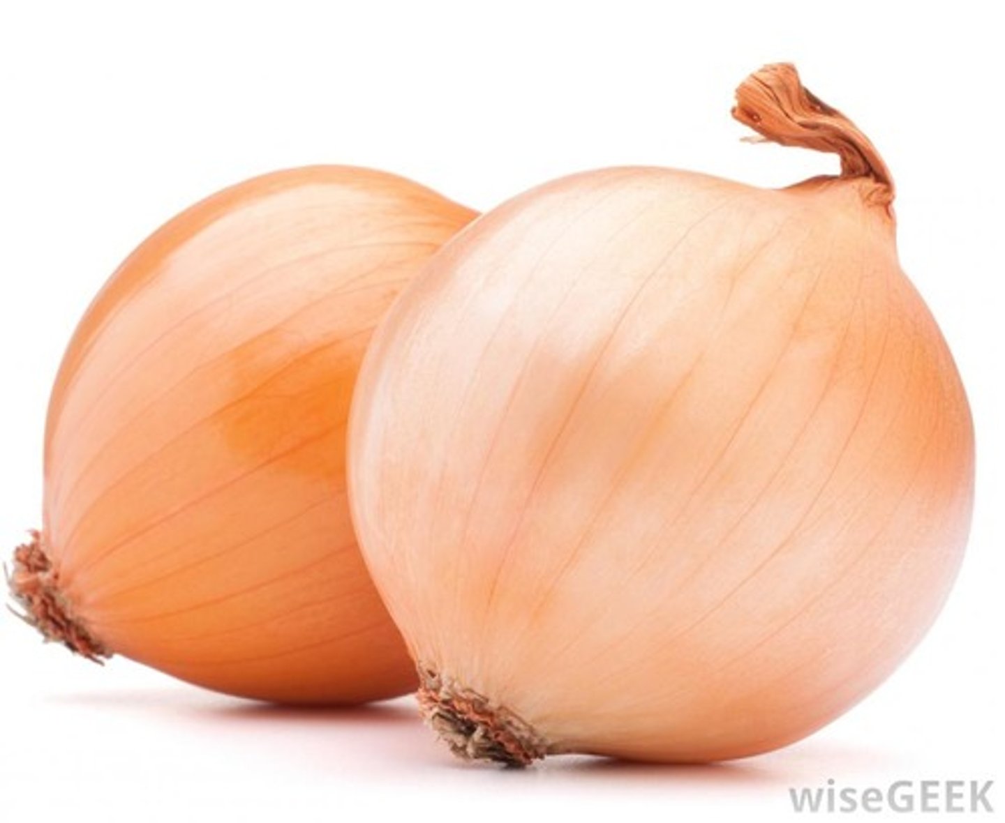 <p>onion</p>