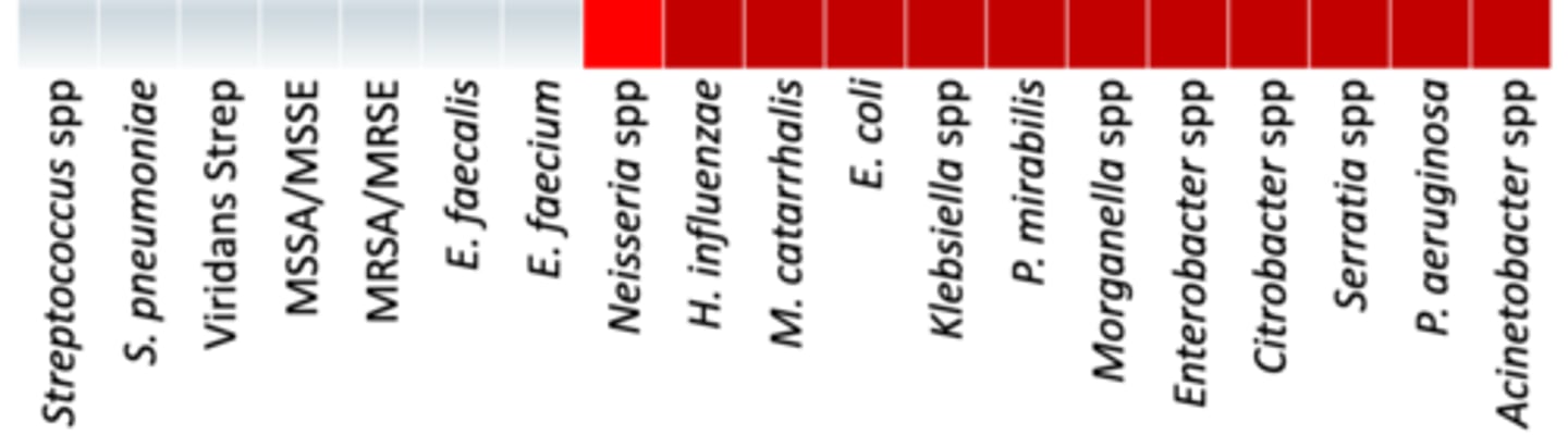 <p>• Anaerobes: -/- </p><p>• Miscellaneous: Active against </p><p>- Carbapenem-resistant Pseudomonas and Enterobacterales</p><p>- Stenotrophomonas maltophilia</p><p>- Active against ESBLs, AmpC, and carbapenemases (KPC, OXA-type, MBLs)</p><p>• Used for multidrug-resistant Gram-negative infections</p><p>• Coverage - Works from H. influenzae to acinetobacter spp with some activity on Neisseria spp (almost all the gram negatives)</p>