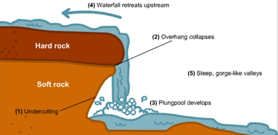 <p>forms when more resistant rock lies on top of less resistant rock</p><ol><li><p>water erodes less resistant rock (hydraulic action &amp; abrasion) forming an undercut &amp; plunge pool</p></li><li><p>more resistant rock on top doesn’t erode, forming an overhang</p></li><li><p>eventually unsupported overhang collapses into plunge pool</p></li><li><p>process repeated &amp; waterfall retreats upstream to form a gorge</p></li></ol><p>waterfalls form because of <strong>differential erosion</strong></p>
