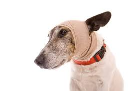 <p>What is the purpose of applying the pictured bandage </p>