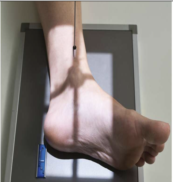 <p>Patient Position   </p><p class="p1"><span style="line-height: normal;"><span> </span></span>Lying on affected side with lateral ankle against IR</p><p class="p1"><span style="line-height: normal;"><span>o </span></span>Can be standing</p><p class="p1"></p><p class="p1">Part Position</p><p class="p1"><span style="line-height: normal;"><span> </span></span>Foot dorsiflexed to place foot at right angle to tib/fib</p><p class="p1"><span style="line-height: normal;"><span> </span></span>Affected ankle in a true lateral</p><p class="p1"><span style="line-height: normal;"><span> </span></span>Lateral malleolus located 1 cm posterior to the medial malleolus</p><p class="p1"></p><p class="p1">CR</p><p class="p1"><span style="line-height: normal;"><span> </span></span>perpendicular to medial malleolus </p><p class="p1"></p><p class="p1">Collimation</p><p class="p1"><span style="line-height: normal;"><span> </span></span>to include entire ankle joint, distal tib/fib and base of 5<span style="line-height: normal;"><span>th</span></span> metatarsal</p><p class="p1"><span style="line-height: normal;"><span> </span></span>especially the base of the 5<span style="line-height: normal;"><span>th</span></span></p>