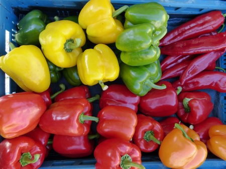 <p>el <span>pimiento</span></p>