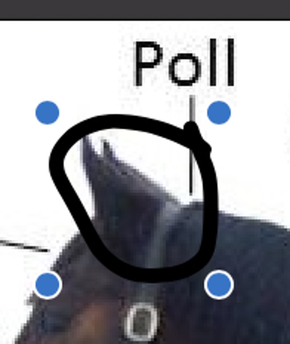 <p>Poll</p>