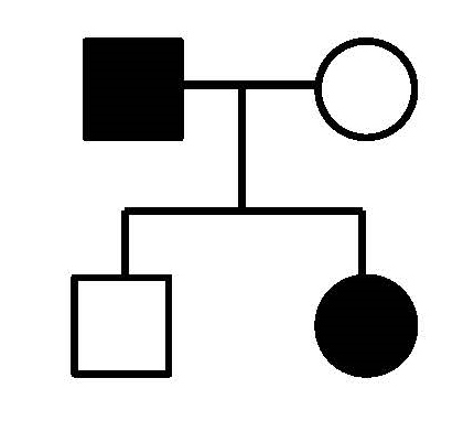 Is the inheritance pattern indicated by the shaded symbols in this pedigree consistent with the inheritance pattern of an X-linked recessive characteristic?