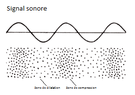 <p>Par compressions et dilatations élastiques</p>