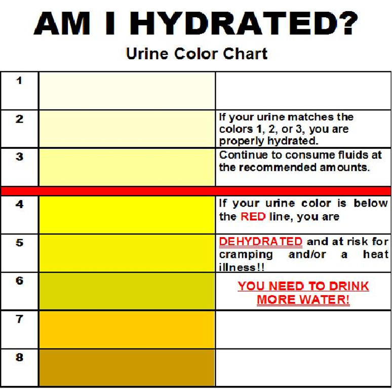 <ul><li><p>Body mass</p><ul><li><p>50-70% of body is water</p></li><li><p>May lose 5% in one session</p></li><li><p>Pre/post exercise</p></li></ul></li><li><p>Urine Color </p><ul><li><p>Normal: light yellow</p></li><li><p>Severe: brownish green</p><p> </p></li></ul></li></ul><p></p>