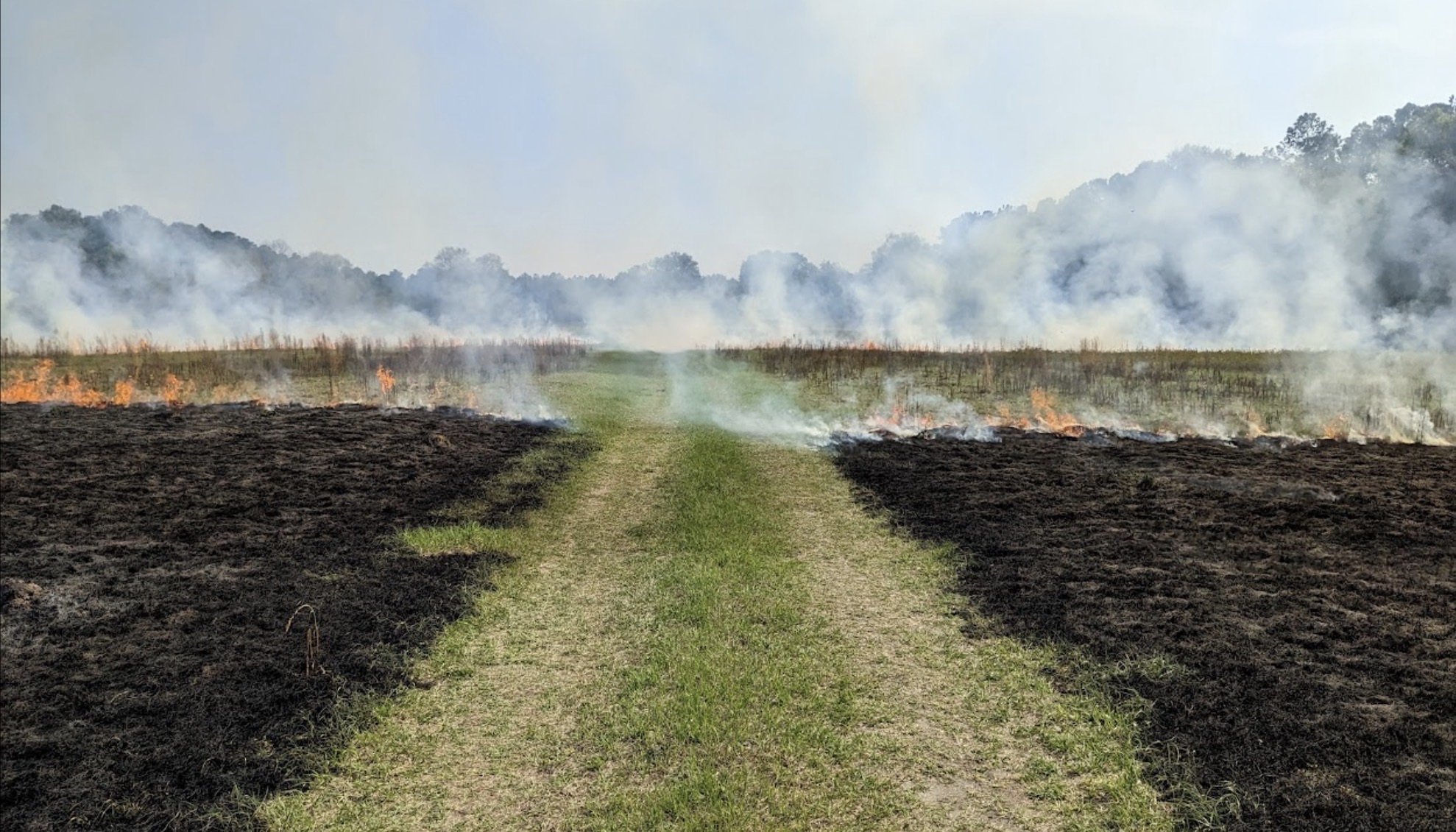 <p>Whats a factor that matters with light fuels? (HINT: see picture)</p>