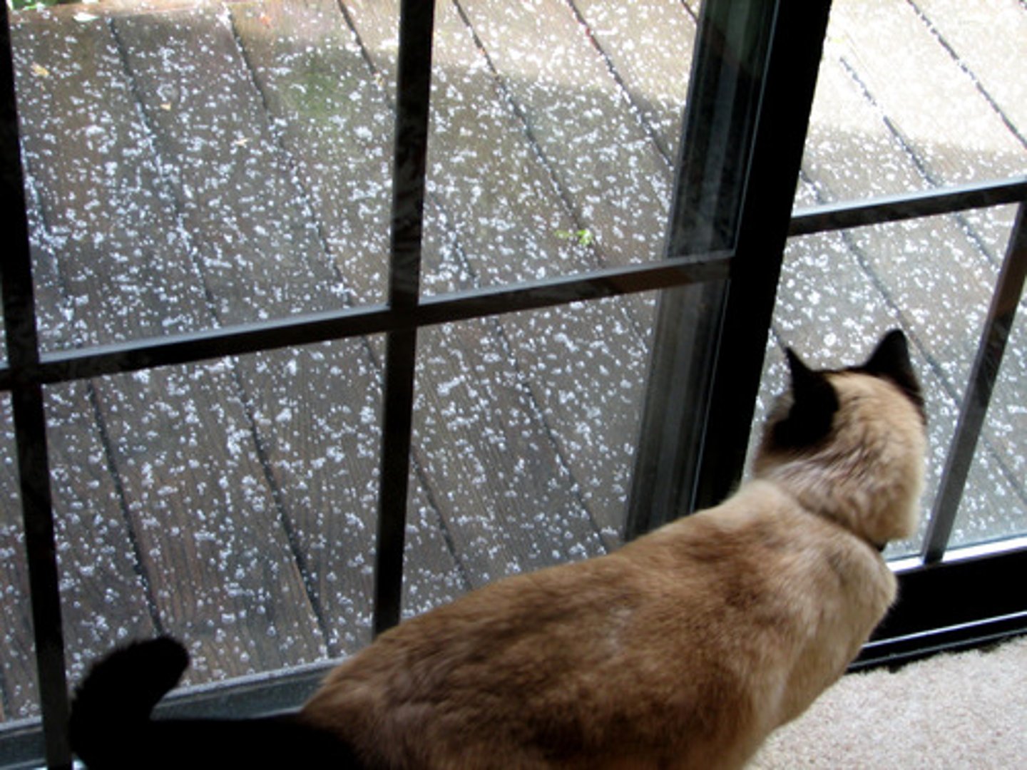 <p>llover hielo</p>