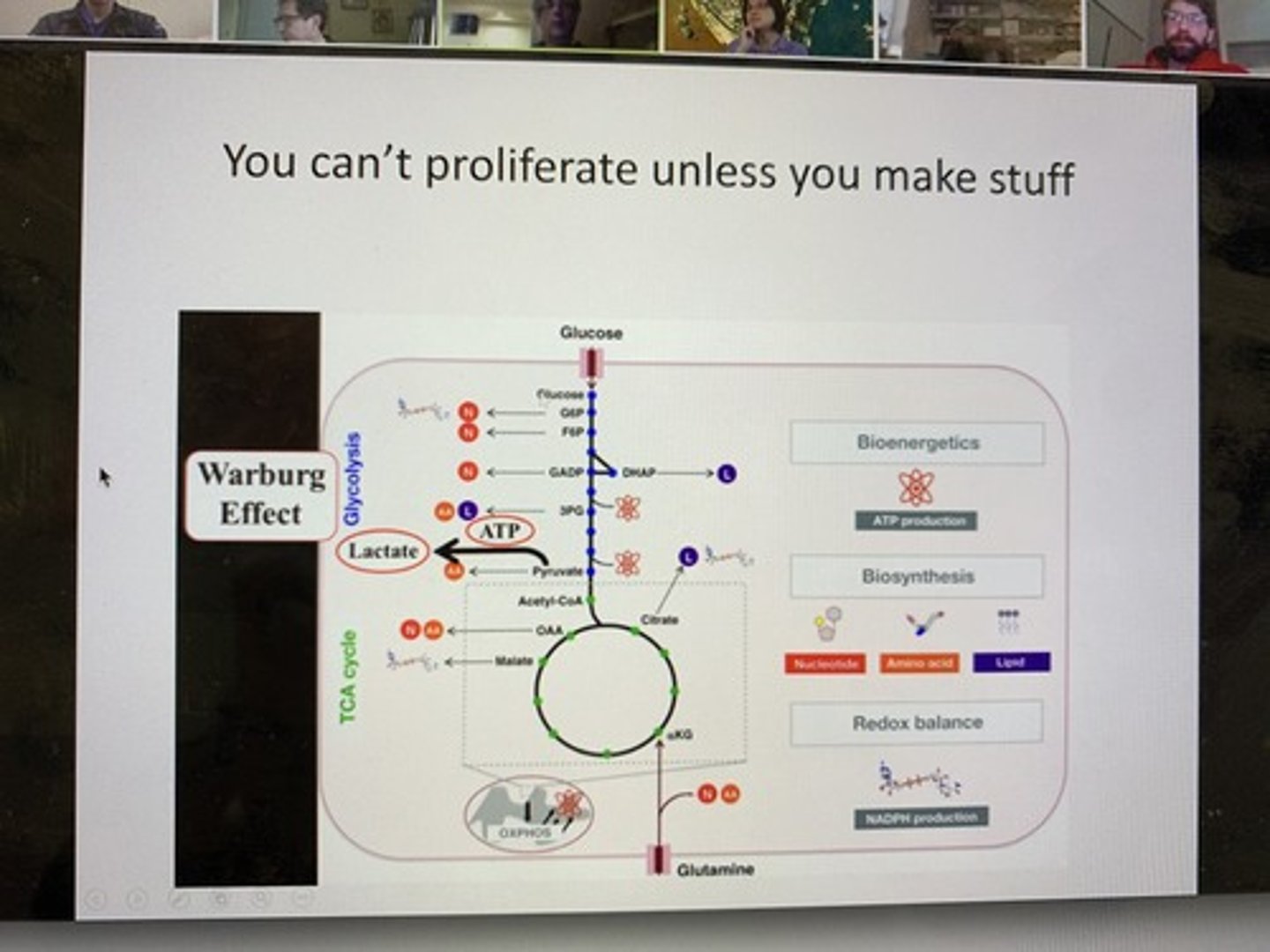 <p>Glycolysis, the citric acid cycle, and oxidative phosphorylation.</p>