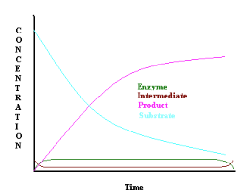<p>in a steady state assumption, [ES] remains constant until almost all substrate molecules have converted to product <br><span style="color: green">[ES]</span><span> , </span><span style="color: purple">[E]</span><span> , </span><span style="color: red">[P]</span><span>, </span><span style="color: #4ce5af">[S]</span></p>
