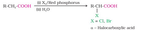 <ul><li><p>Carboxylic acids with <span>α-hydrogen react with chlorine and bromine substituted at α position in the presence of red phosphorus to give α-halocarboxylic acids</span></p></li></ul>