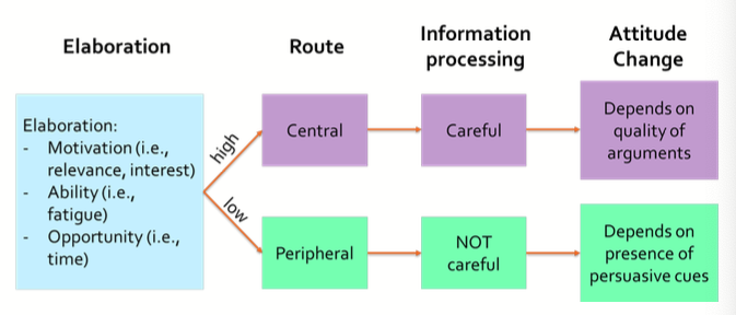 Central and peripheral route