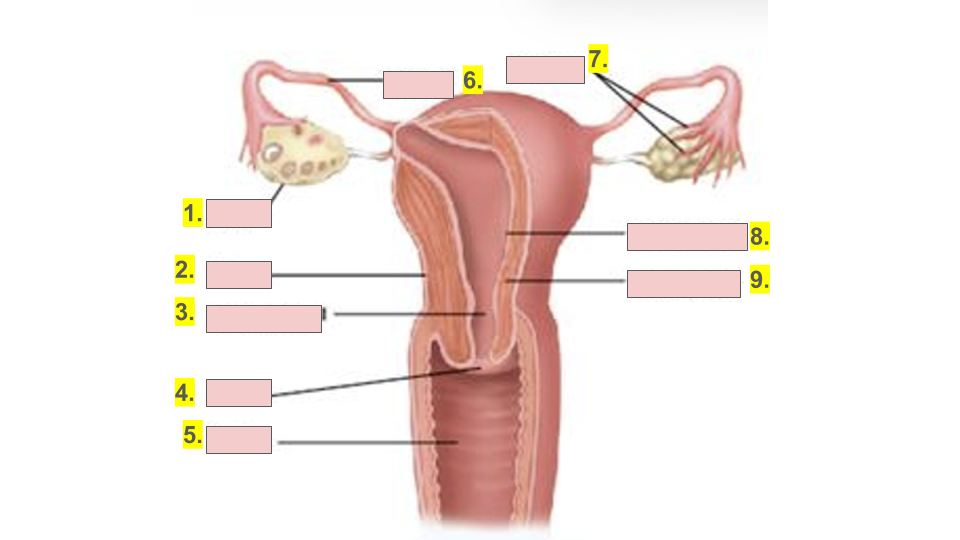 <p>9.</p>