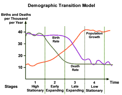 <p>5 stages that all countries go through, categorized by birth/death rates and natural population increase; does not factor in migration. More developed countries = later stages.</p>