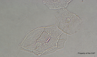 <p>What is this?</p>