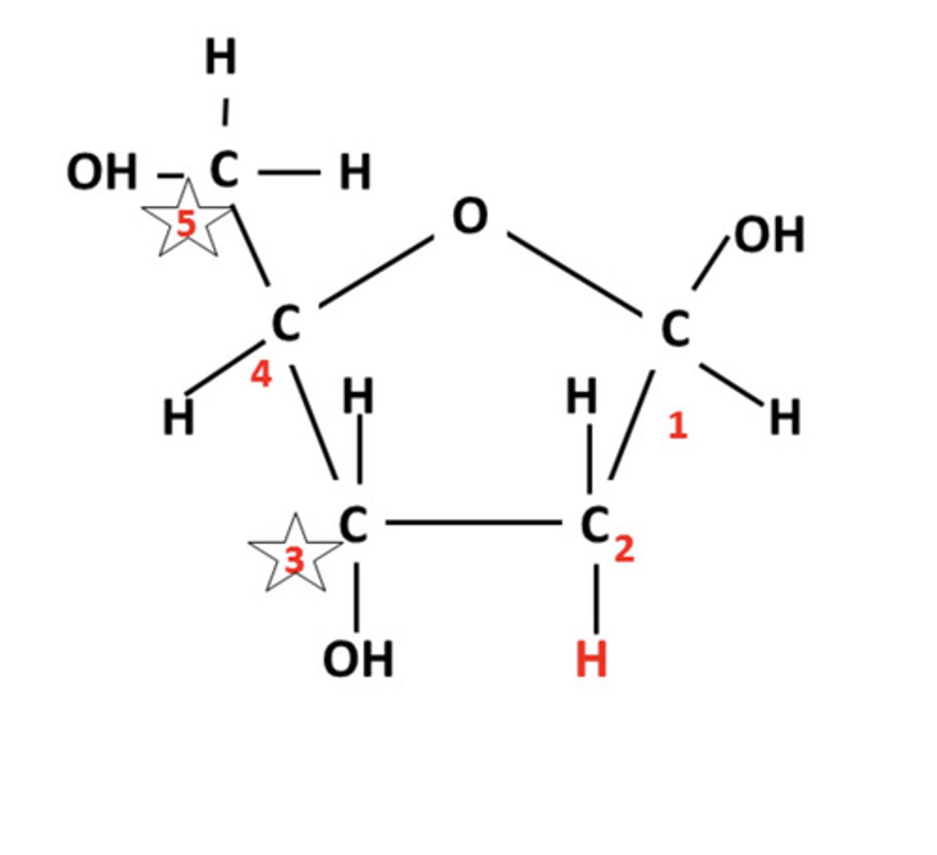 <p>Hydroxyl group or -OH group</p>