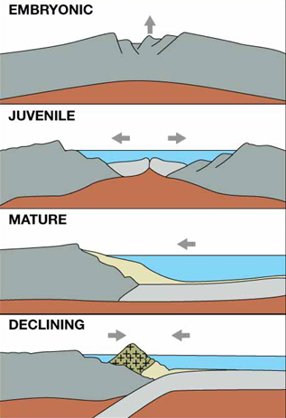 <p>DECLINING </p><ul><li><p>convergence begins, subduction with marginal trenches </p></li><li><p>high spreading rates due to slab pull </p><p>result: island arcs, trenches around basin edge, ocean ridge uncenterd</p><p>Ex: pacific ocean</p></li></ul><p></p>