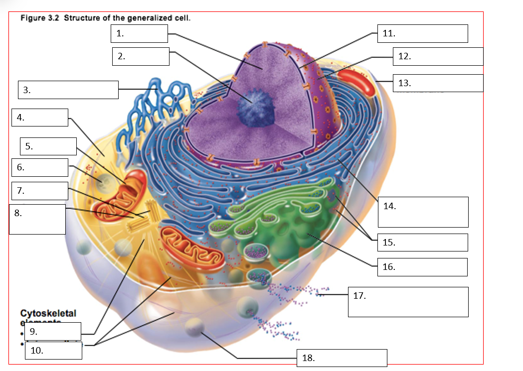 <p>4</p>