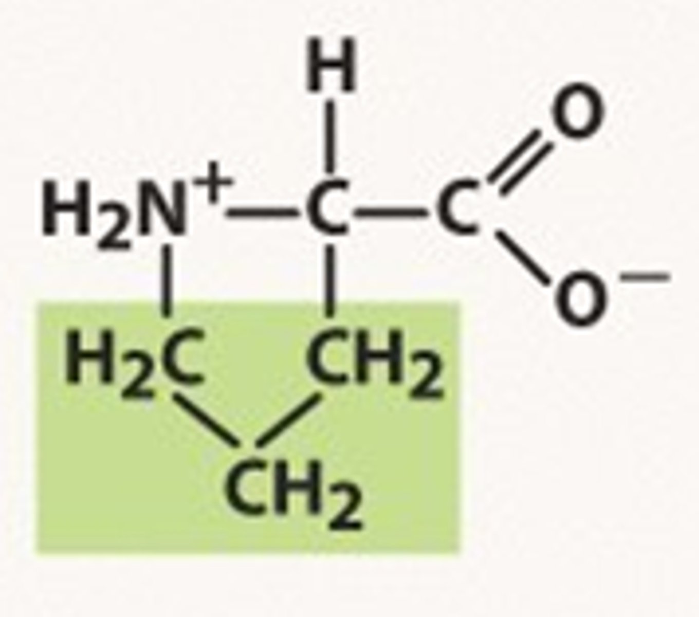 <p>nonpolar</p>