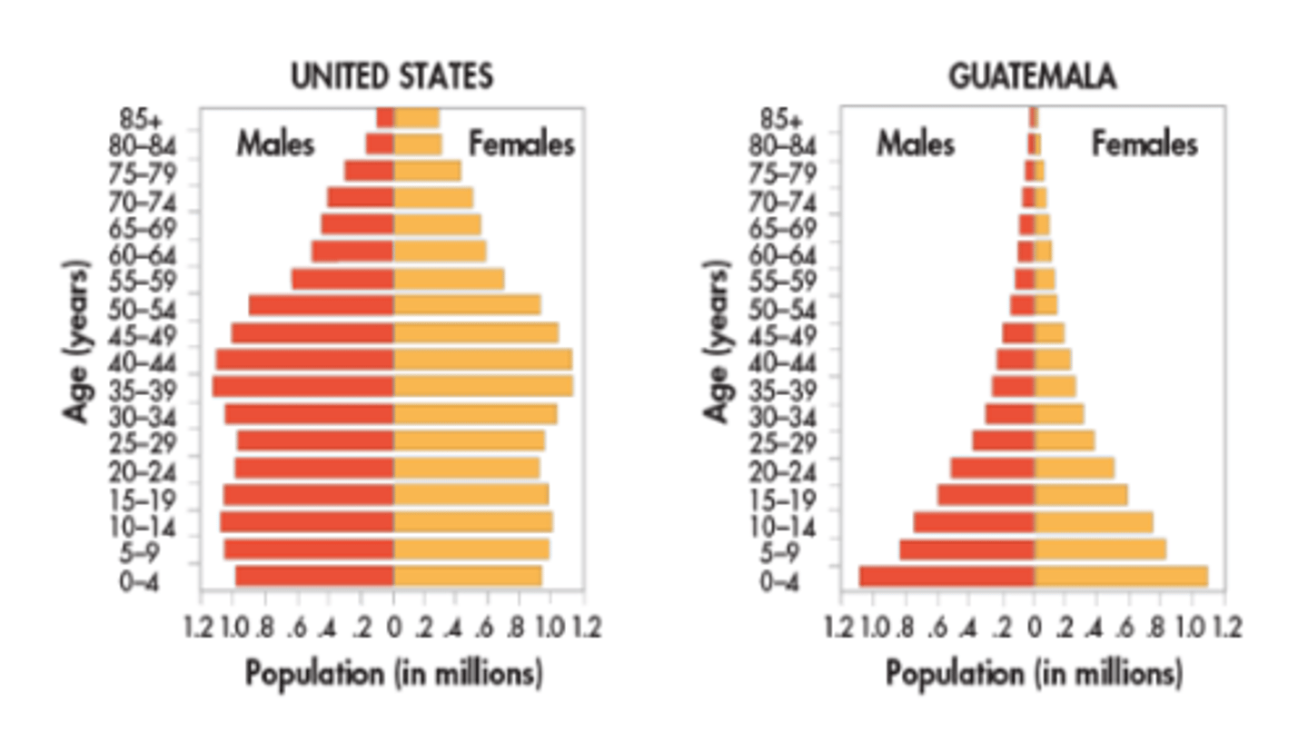<p>Diagrams that show the population of a country broken down by gender and age group. Used by demographers to predict needs.</p>