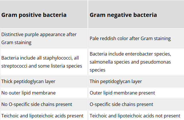 <p>Essentially, gram +ve bacteria take up the gram stain and -ve do not.</p><p></p><p><a target="_blank" rel="noopener noreferrer nofollow" class="link" href="https://www.technologynetworks.com/immunology/articles/gram-positive-vs-gram-negative-323007" data-prevent-progress="true">https://www.technologynetworks.com/immunology/articles/gram-positive-vs-gram-negative-323007</a></p>