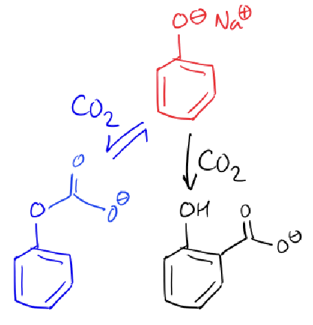 <p>the reaction with the phenolate oxygen is faster </p>