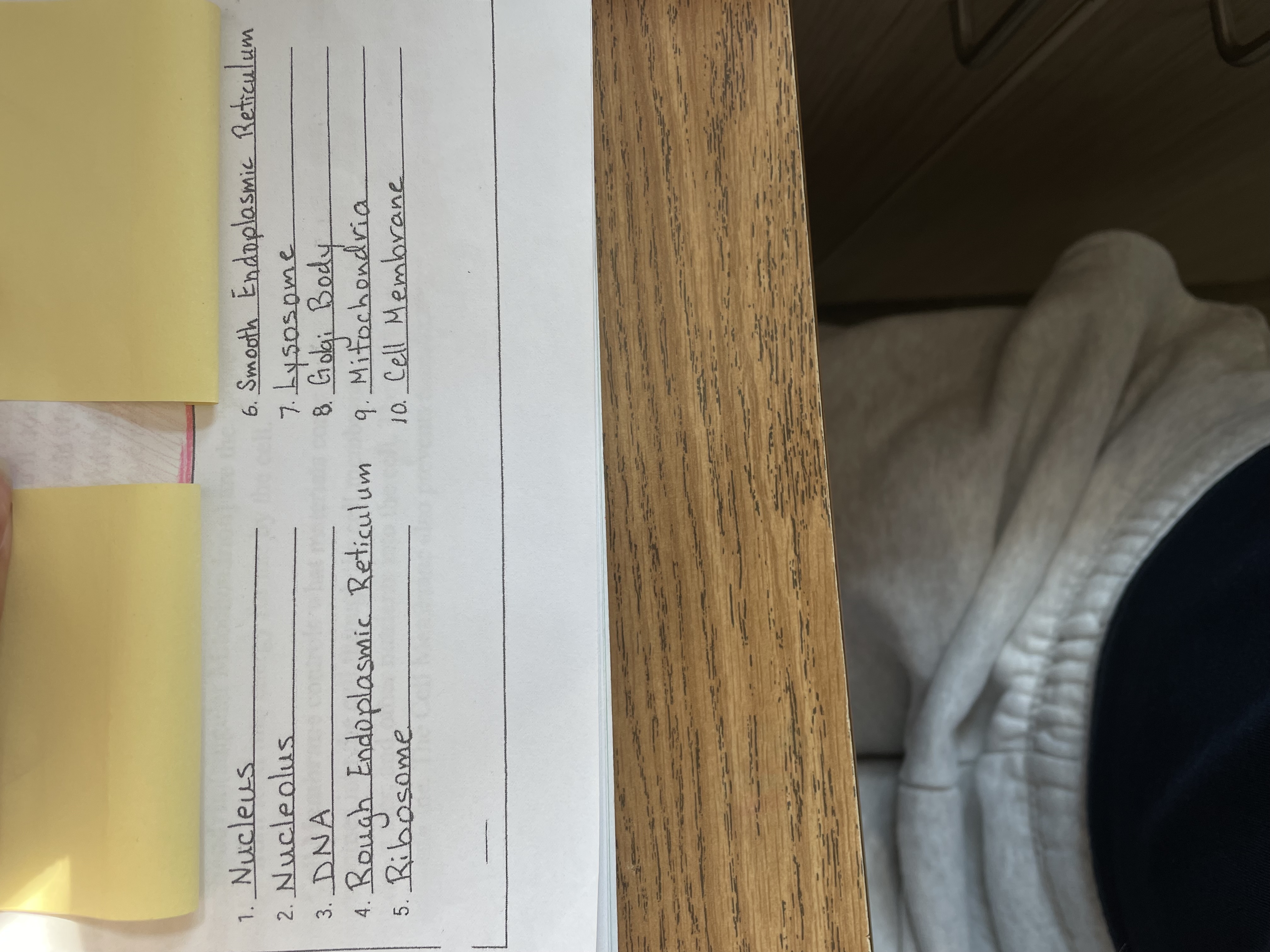 knowt flashcard image