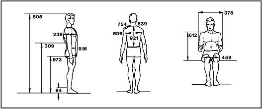 <p><span>What is Anthropometrics?</span></p>