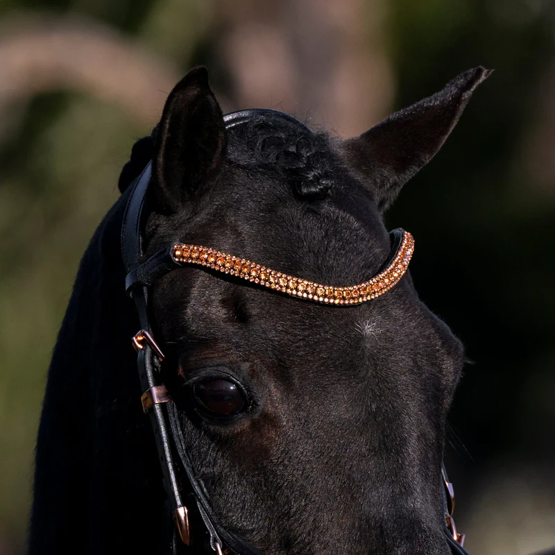 <p><span>A strap that runs across the horse's forehead, just below the ears, and connects to the crown piece on either side of the bridle. It prevents the bridle from sliding too far back towards the horse's neck.</span></p>
