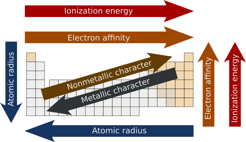 <p>measure of the size of an atom</p><ul><li><p>atoms get bigger with more shells &amp; as the valence e- get further away they’re less attracted by the nucleus (Zeff also has a smaller effect)</p></li></ul><p></p>
