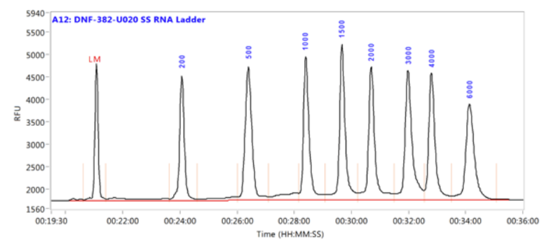 <p><span style="line-height: 107%;">Fragment analysis by CE can be used to determine...</span></p><p class="MsoListParagraphCxSpFirst"><span style="font-family: "Times New Roman", serif; line-height: 107%;">1.</span><span style="font-family: "Times New Roman"; line-height: normal; font-size: 7pt;">     </span><span style="font-family: "Times New Roman", serif; line-height: 107%;">Size of the DNA fragment = based on time it takes to travel through the capillary</span></p><p class="MsoListParagraphCxSpMiddle"><span style="font-family: "Times New Roman", serif; line-height: 107%;">2.</span><span style="font-family: "Times New Roman"; line-height: normal; font-size: 7pt;">     </span><span style="font-family: "Times New Roman", serif; line-height: 107%;">Quantity = based on the height of the peak (signal intensity)</span></p><p class="MsoListParagraphCxSpLast"><span style="font-family: "Times New Roman", serif; line-height: 107%;">3.</span><span style="font-family: "Times New Roman"; line-height: normal; font-size: 7pt;">     </span><span style="font-family: "Times New Roman", serif; line-height: 107%;">Genotype = based on the product sizes of different alleles</span></p><p class="MsoListParagraphCxSpLast"><span style="font-family: Calibri, sans-serif; line-height: 107%;">The height = intensity (more fragments of that size)                   The biggest fragment = far right with the most bases (bigger because takes longer for it to go through the capillary)</span></p>