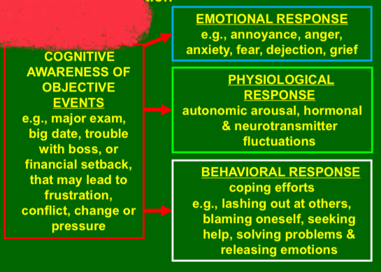 <p>TRIPARTITE MIND-BODY INTERACTION</p>