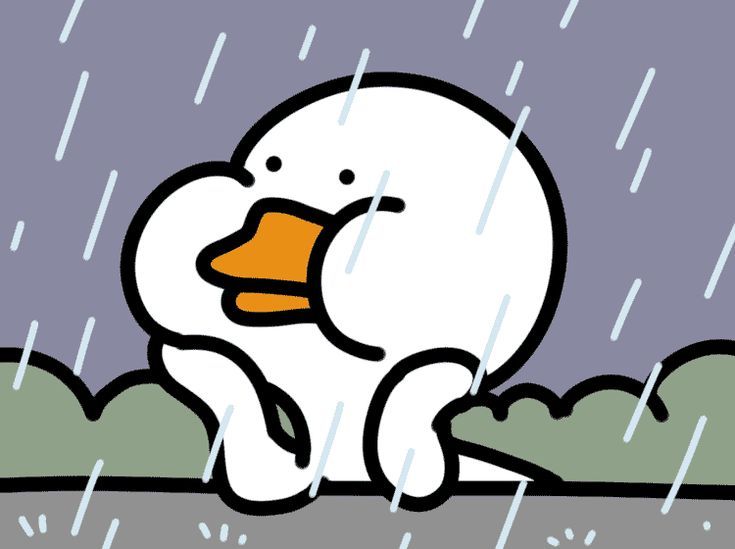 <p>1 Rain (v)</p>