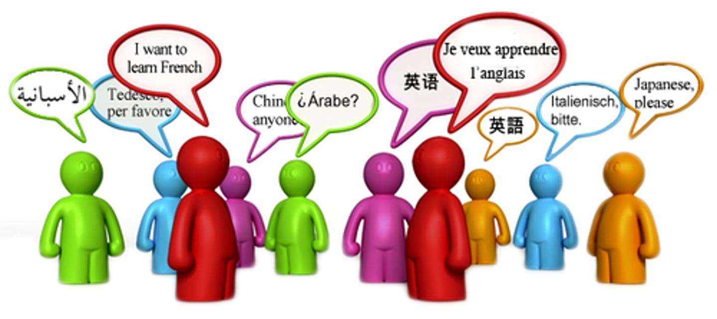 <p>everyday language</p>