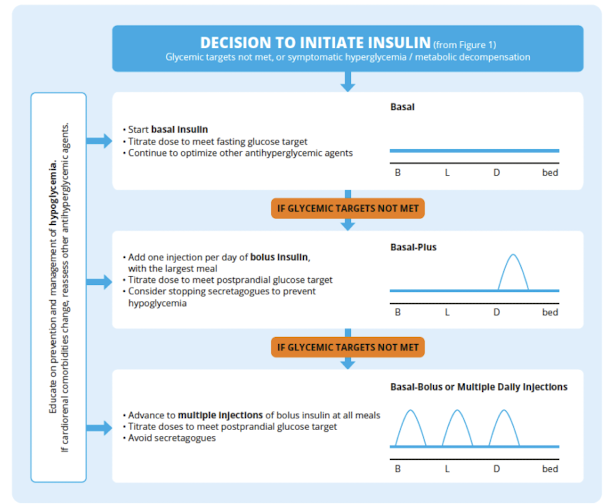 <p>use a step-wise approach starting with 1 bolus dose per day at the largest meal</p><p>introduce additional mealtime injections later if needed</p><p>rapid acting analogues preferred over regular insulin</p><p>insulin secretagogues (solfonylureas/meglitinides) should be <strong>discontinued</strong></p>