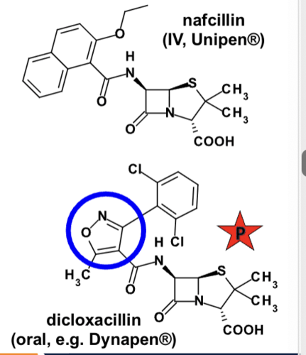 <p>- PO (diclo) &amp; IV (naf, oxa)</p><p>- bactericidal </p><p>- primarily used for susceptible Staph. infections</p><p>- nafcillin &amp; the isoxazolyl penicillins (oxacillin, dicloxacillin) </p><p>- resistant to some beta-lactamases </p><p>- ADRs primarily limited to hypersensitivity and injection-site reactions</p>