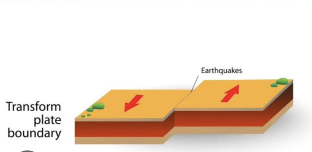 <p>An area where tectonic plates move sideways past each other </p>