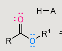 <p><strong>Reactants:</strong><span> The reaction happens when a </span><strong>carboxylic acid</strong><span> is treated with an </span><strong>alcohol</strong><span>.</span></p><p><span>• </span><strong>Catalyst:</strong><span> It requires </span><strong>acidic conditions</strong><span> to proceed</span></p><p></p><ul><li><p>Formation: carboxylic acid + alcohol → ester</p></li><li><p>Hydrolysis: ester + water → carboxylic acid + alcohol</p></li></ul><p></p>