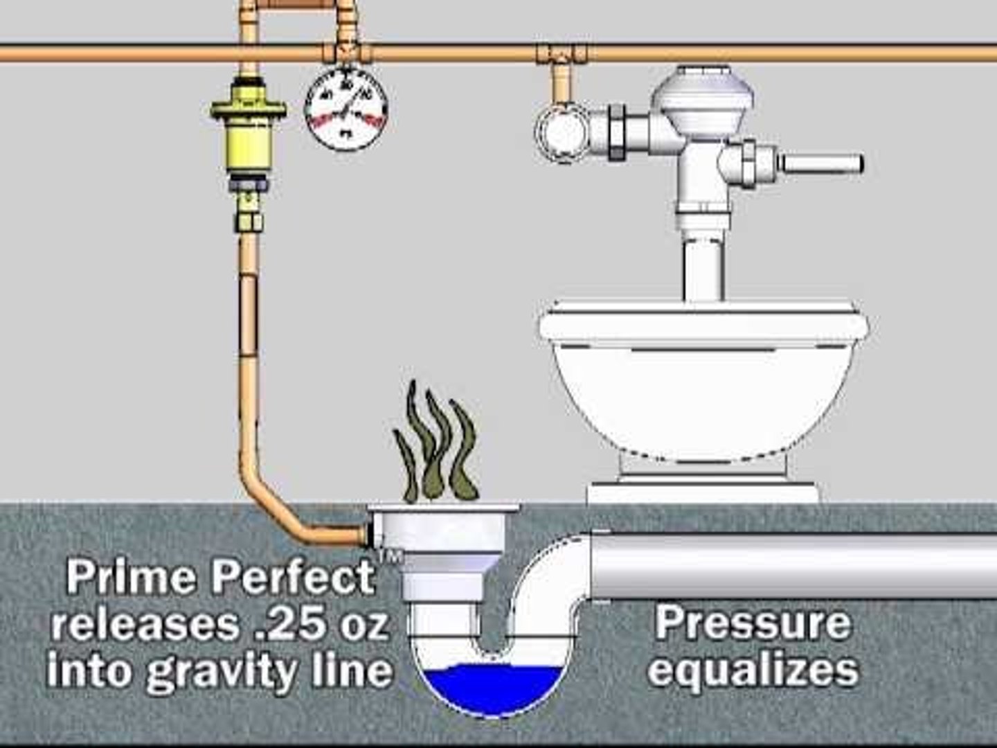 <p>Section 1007 - Trap Seal Protection</p><p>Floor drain or similar traps directly connected to the drainage system and subject to infrequent use shall be provided with an approved _______________</p>