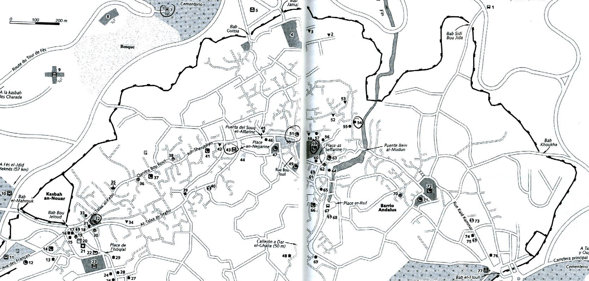 term image