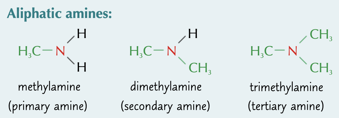 <p>amines with alkyl substituents</p>