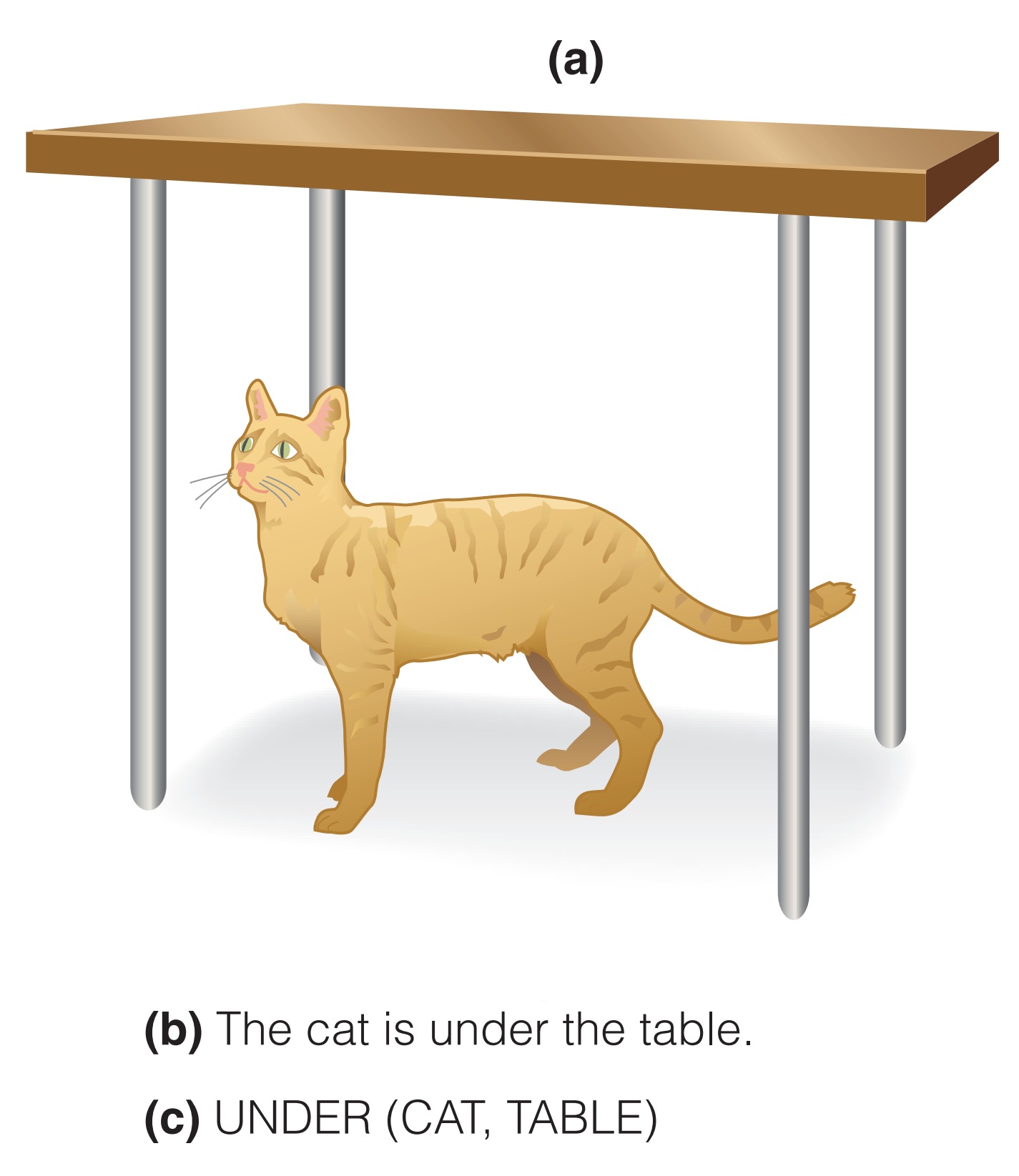 <p>Basically an assertion which may be either true or false.</p><p>Example: To describe the picture, you could say, “The table is above the cat”. You could also say, “The cat is beneath the table.” Both of these statements indicate the same relationship as “above the cat is the table.”</p>