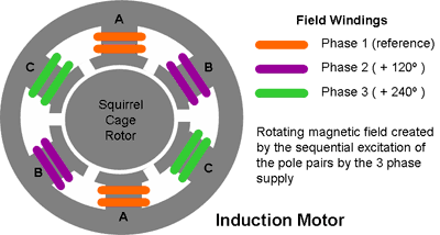 <ol><li><p>Produce motion from 3-phase Alternating current (looks similar to brushless, unless shown in 3D with squirrel cage)</p></li><li><p>Used for simple, high efficiency, high-power applications like factories (needs mains power)</p></li></ol><p></p>