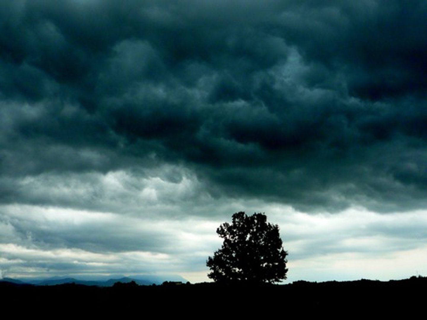 <p>the weather is bad</p>