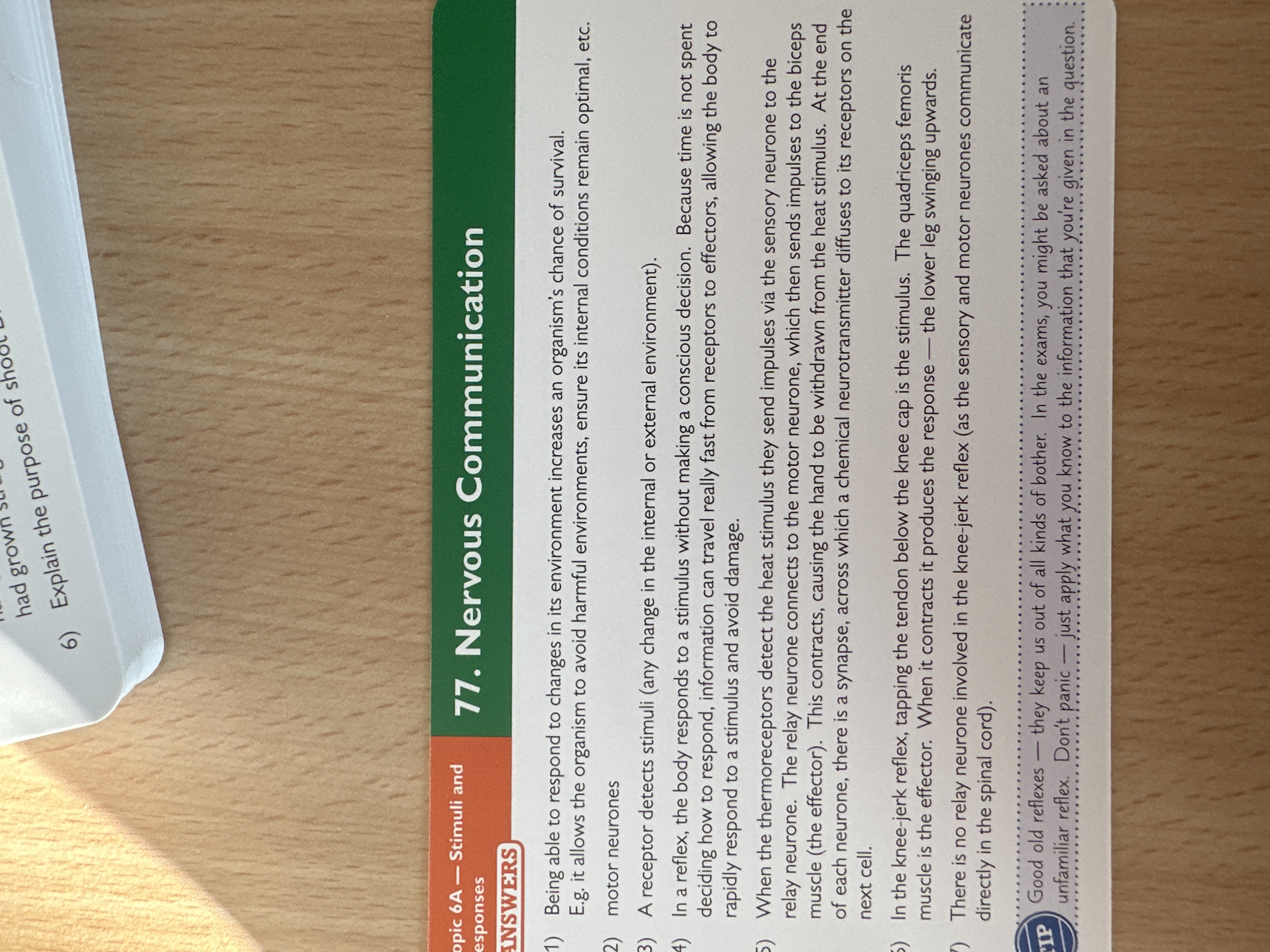 knowt flashcard image