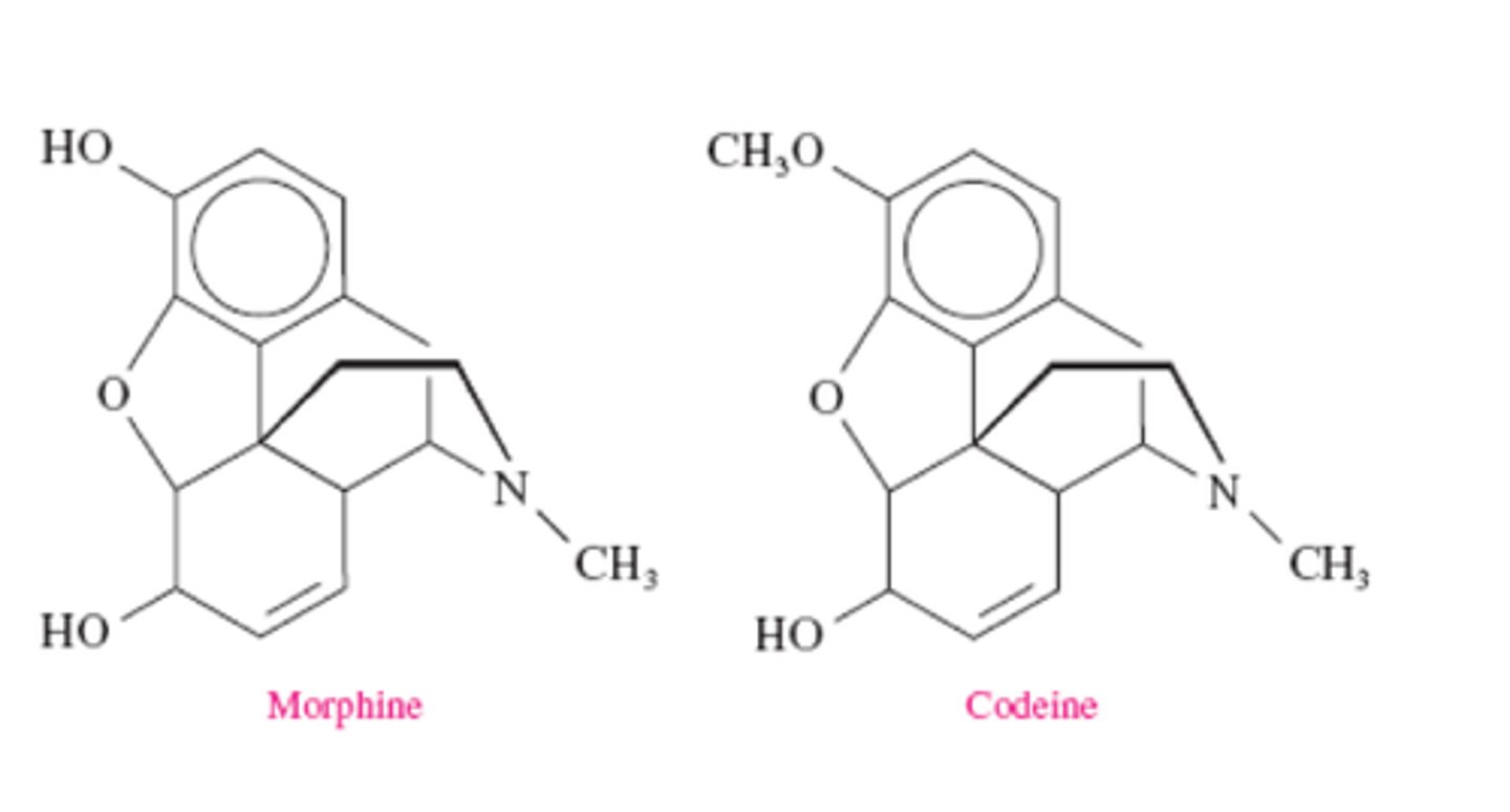 <p>Morphine</p>