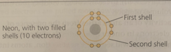 <p>The second shell (1 s-orbital, 3 p-orbitals) consists of <strong>4 orbitals</strong> and can hold up to <strong>8 electrons</strong>.</p>